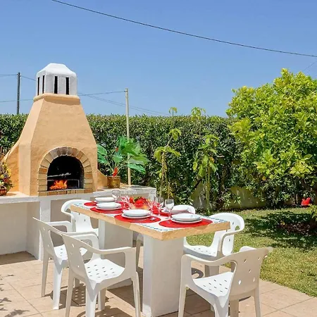 Girassol Terras Novas